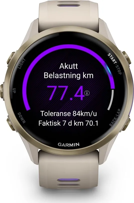 Garmin Forerunner 970 French Gray/indigo