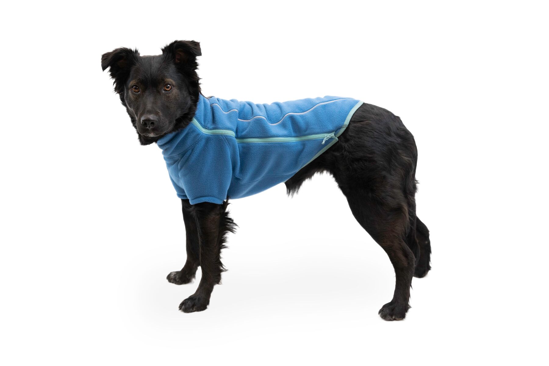 Veste polaire climate changer™ des manches et une fermeture à glissière. Couleur: blue jay (bleu), taille: xl