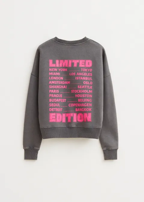 Sweater met print limited grijs (GRS.ACD)