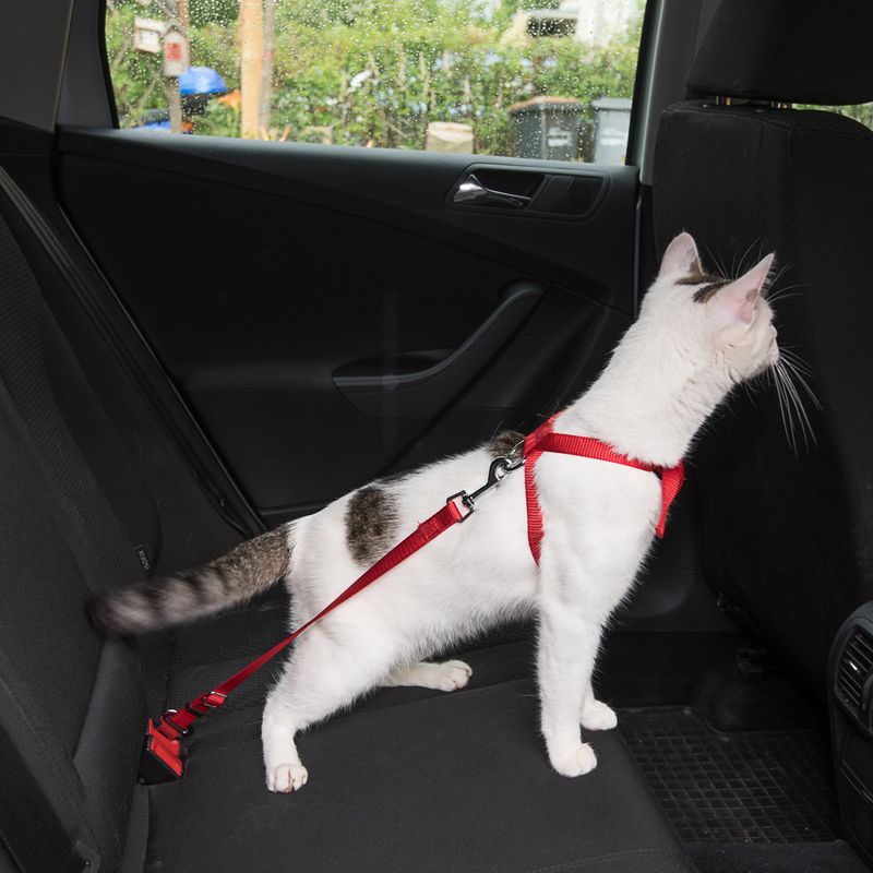 Harnais de sécurité pour voiture Trixie