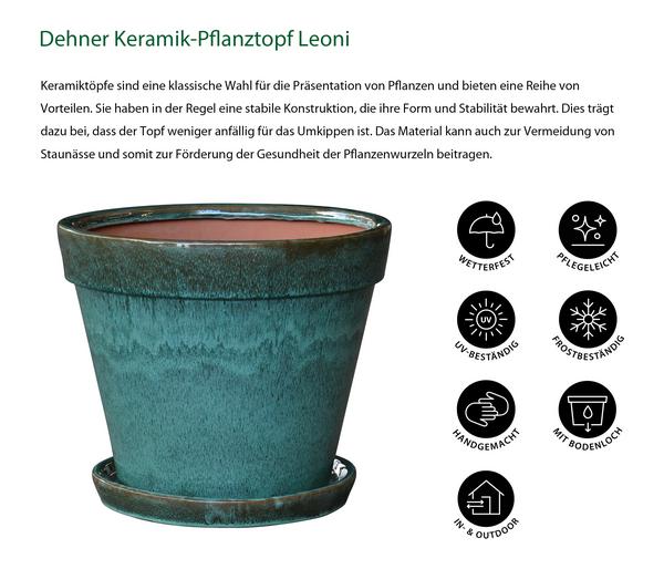 Dehner Keramik-Pflanztopf Leoni inkl.