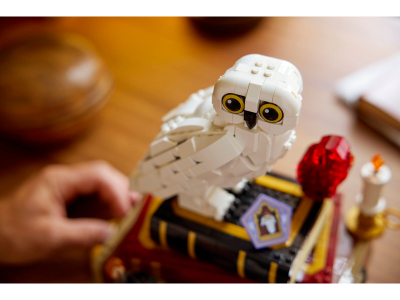 LEGO Steen der Wijzen – Verzameleditie (76466)
