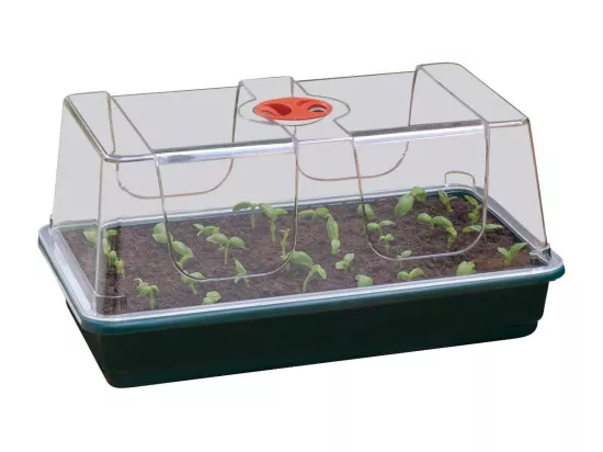 Grand plateau en plastique de semis