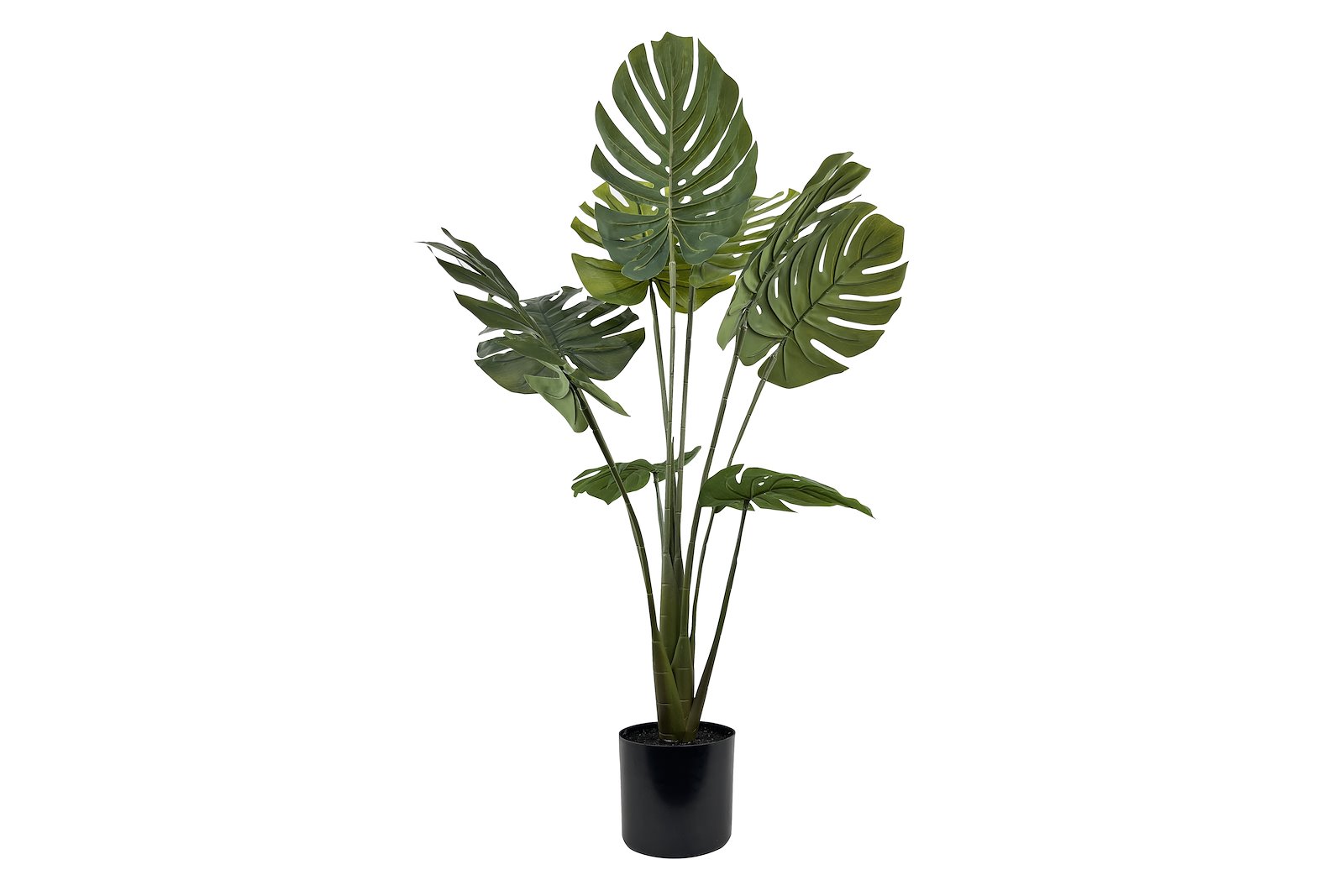 Monstera potteplante Grønn H90 cm