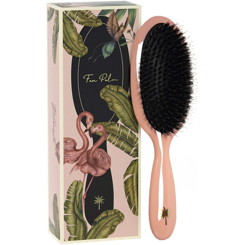 Fan Palm Hair Brush Medium - Blush