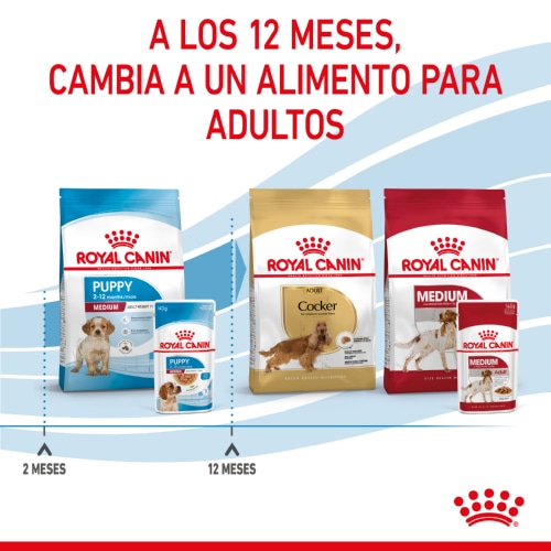 Envelopes Royal Canin para Filhotes de Porte Médio
