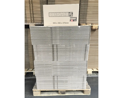 Cargo Point Pallet Verhuisdoos 350 x 370 x 650 mm Karton 84 l tot 30 kg 160 stuks
