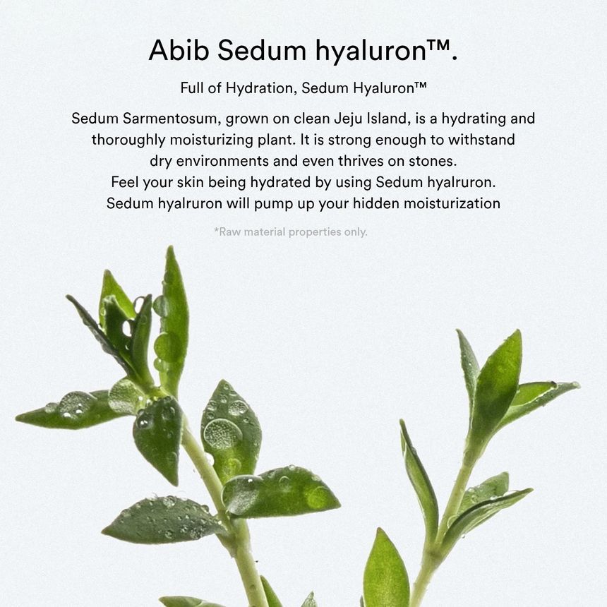Abib - Sedum Hyaluron Crème Hydraterende Pot