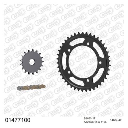 Kit chaine AFAM 525 Type Acier Origine