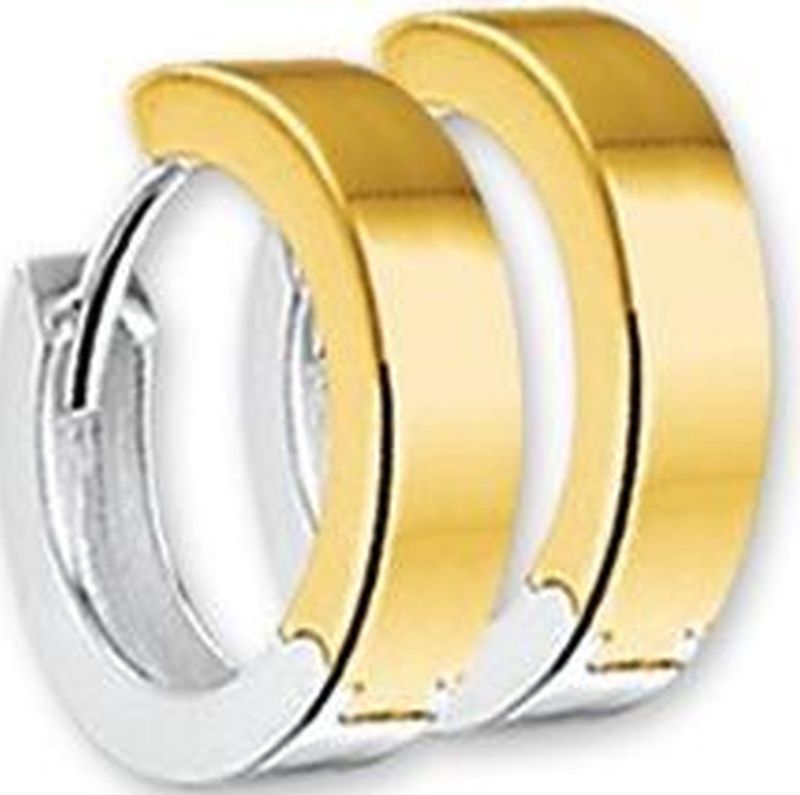 Bicolor Gouden Klapoorringen 2 4200195