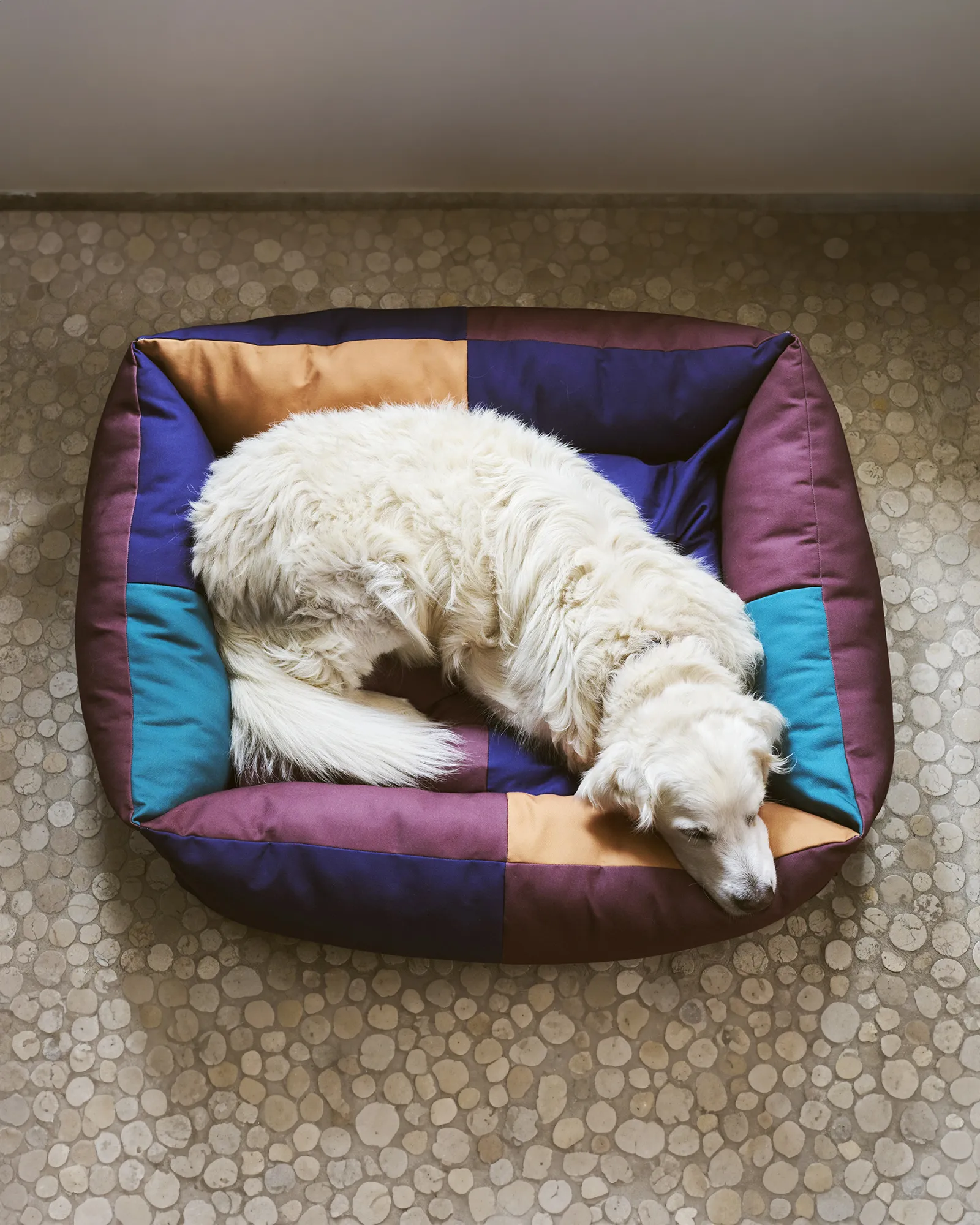 HAY HAY Dogs Bed