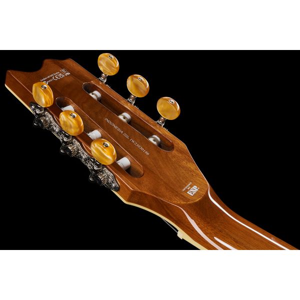 ESP LTD TL-6N Nylon