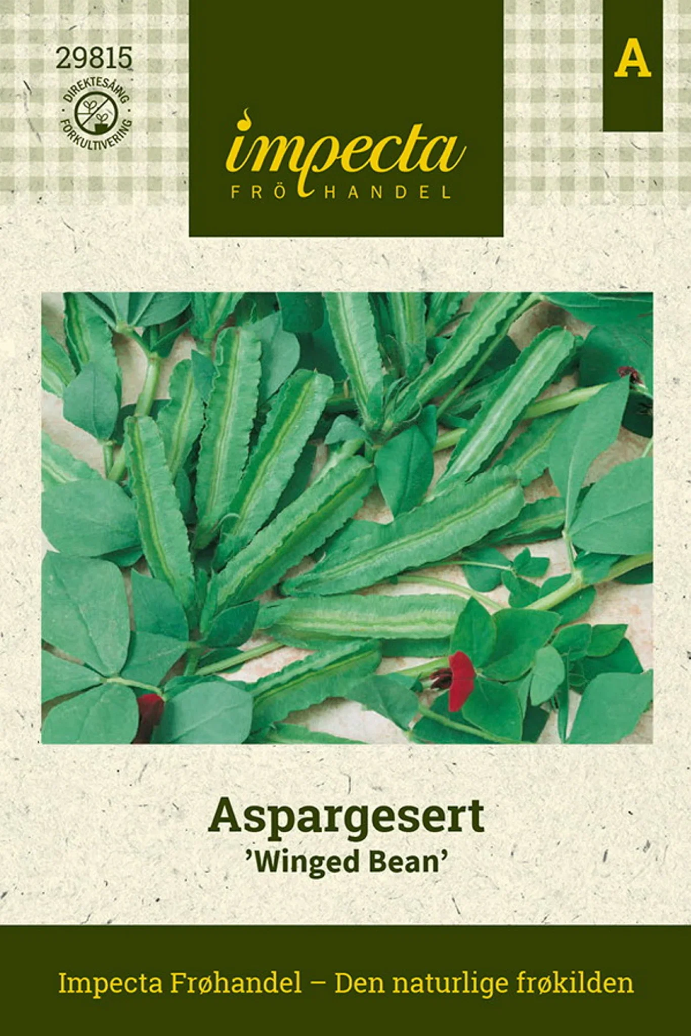 Lotus tetragonolobus 'Winged Bean' Aspargesert 'Winged Bean'