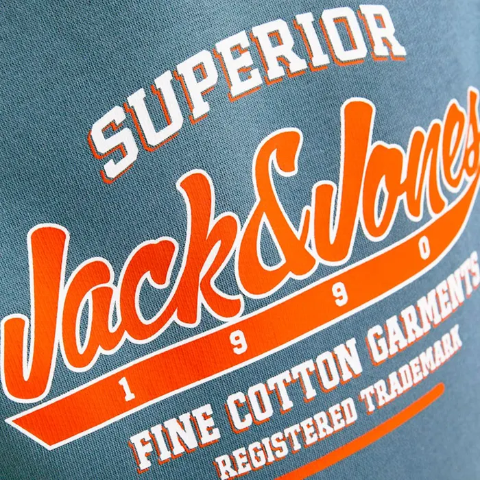Jack & Jones Logo Hoodie Junior