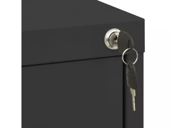 Classeur Anthracite 46x62x72,5 Acier