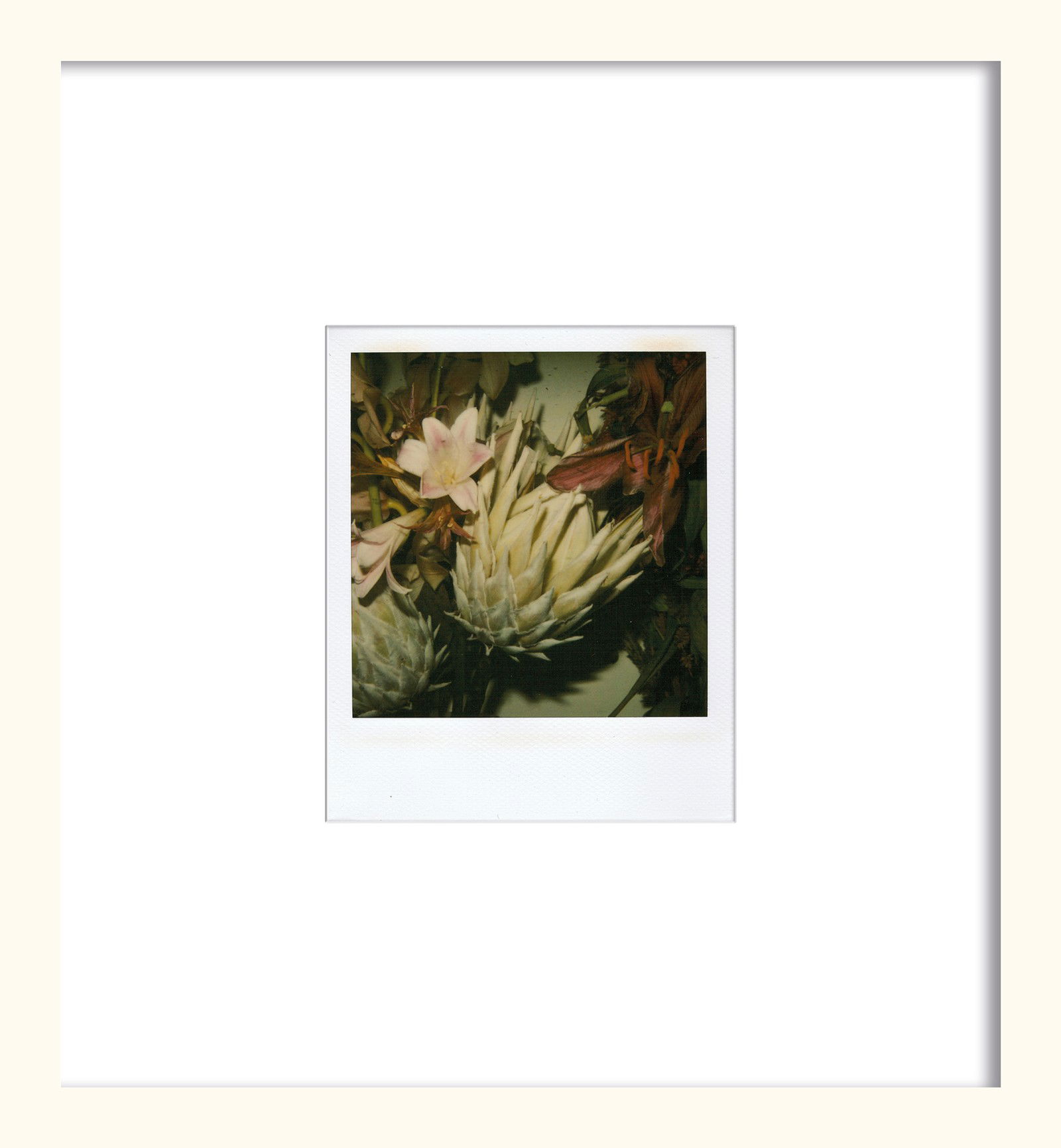 Flower by Nobuyoshi Araki - Unique Artwork