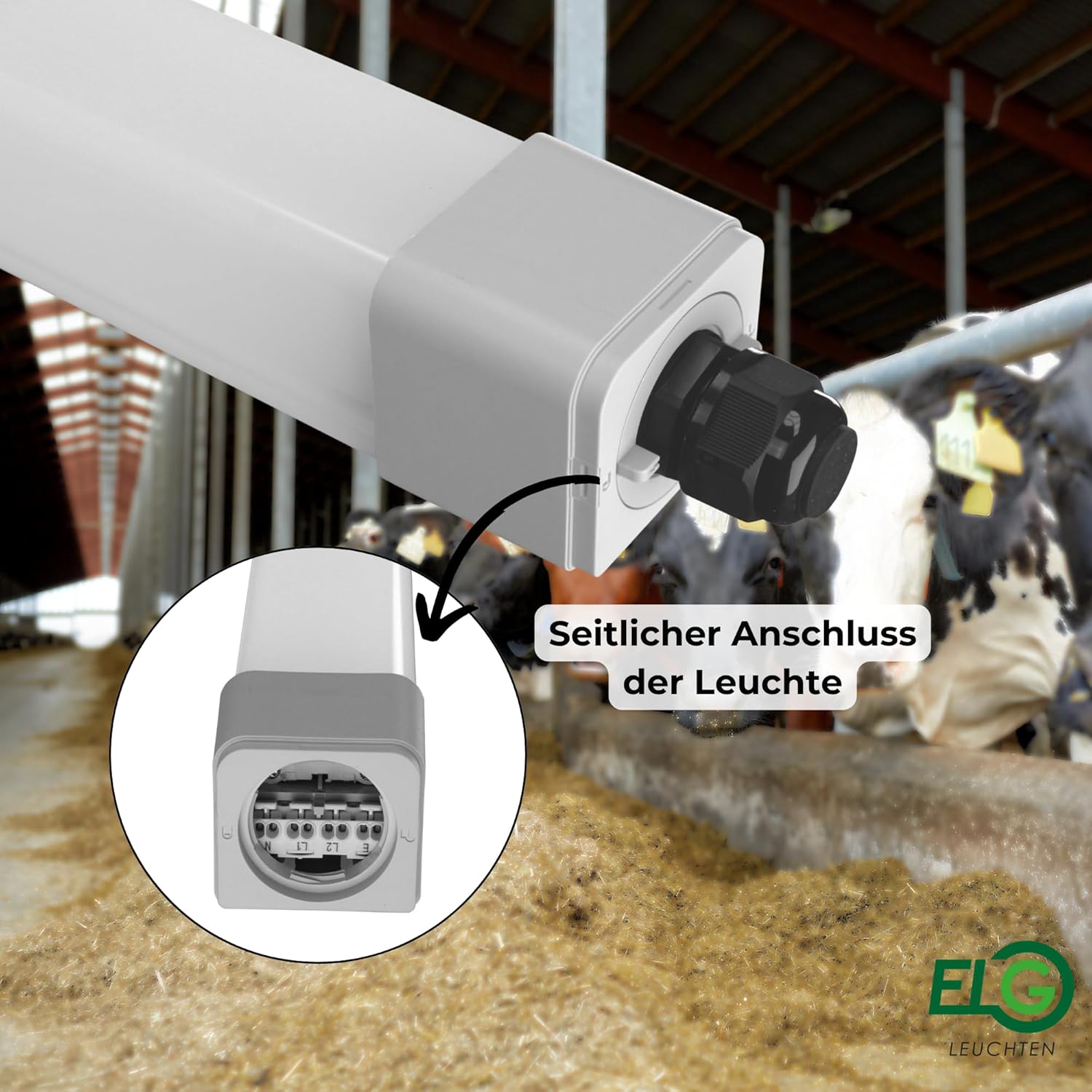 12x LED Feuchtraumleuchte Stallleuchte 120cm 4000K dlg anerkannt ammoniakbeständig 36W 4300lm IP66 Agrarleuchte Stalleuchte Beleuchtung Kuh Kuhbeleuchtung Schweineleuchte agrarlampe