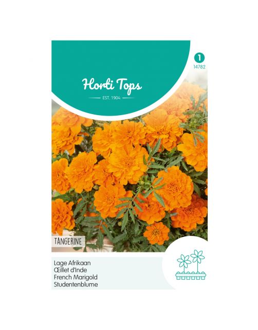 Hortitops Tagetes - Lage Afrikaan Tangerine - Bloemenzaden - 1 g
