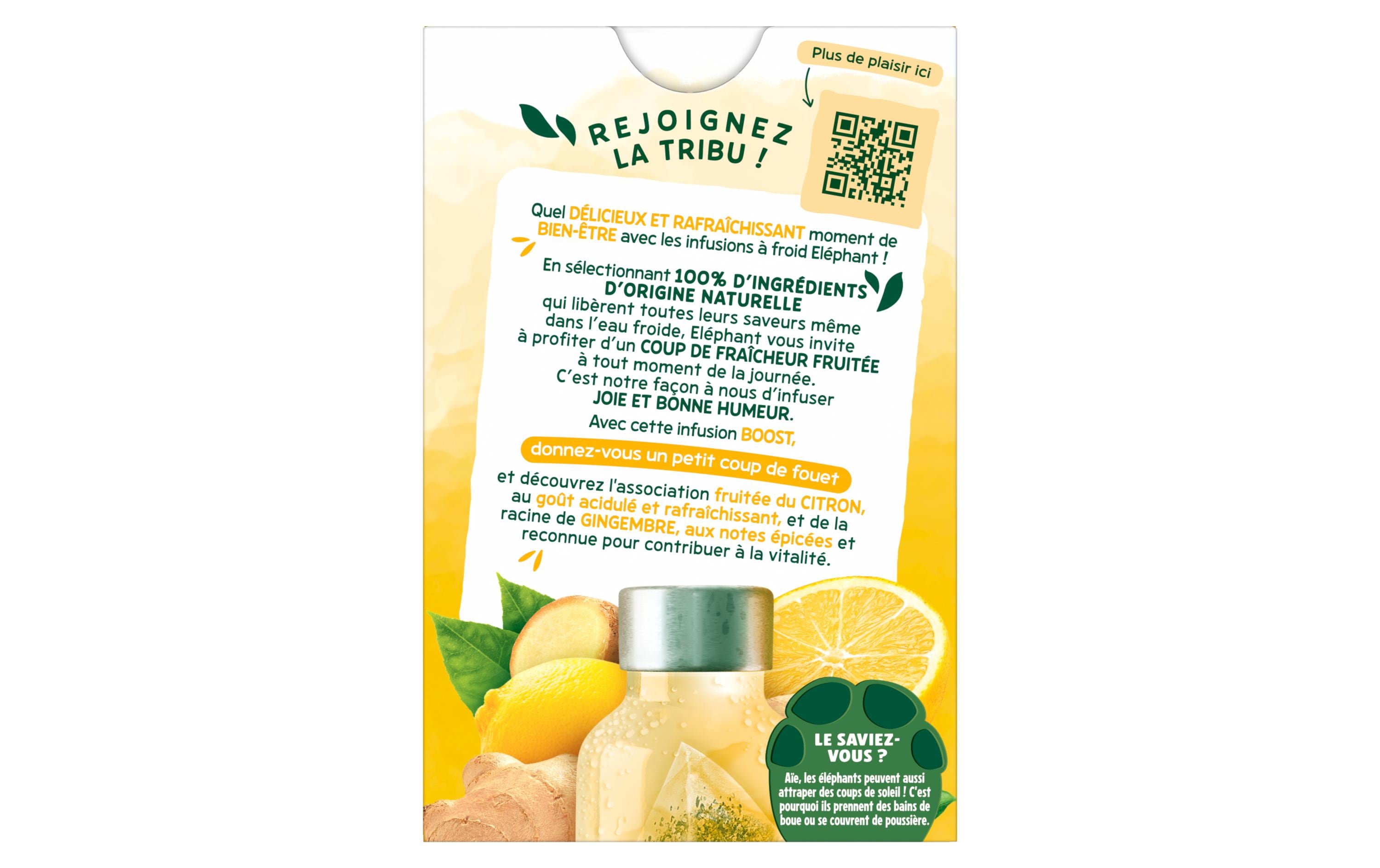 Teebeutel Cold Infusion a Froid Boost 15 StückTee mit Zitrone und Ingwer
