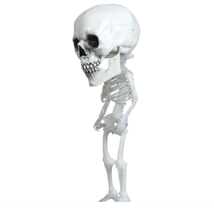 Halloween Skelet 15cm