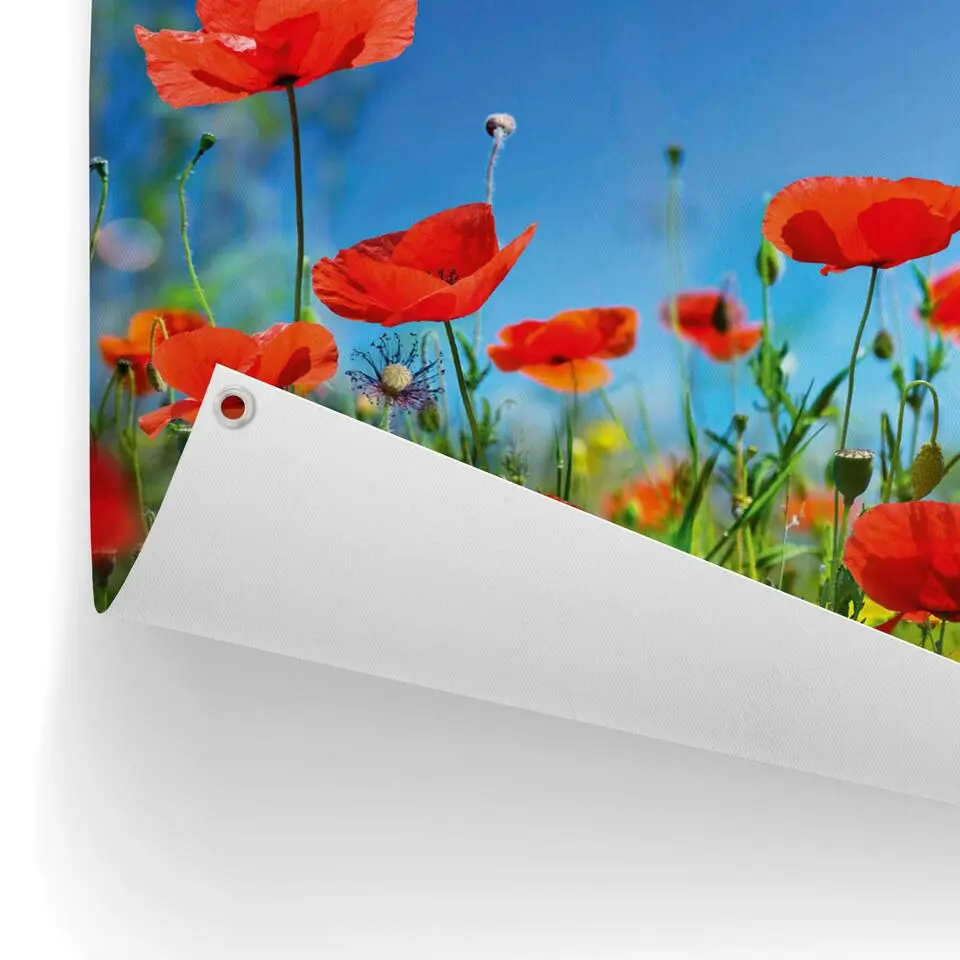 Tuinposter Zomerbloemen - 60x80cm - Rood