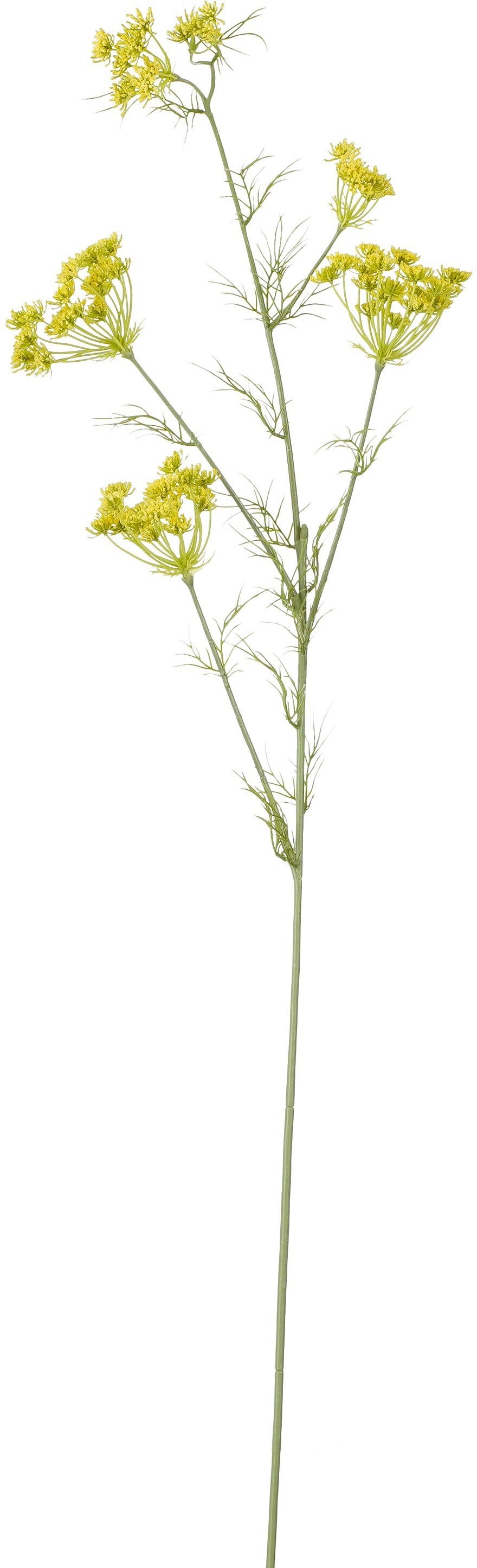 Mica Decorations kunstbloem Wortelbloem wit L 120 cm