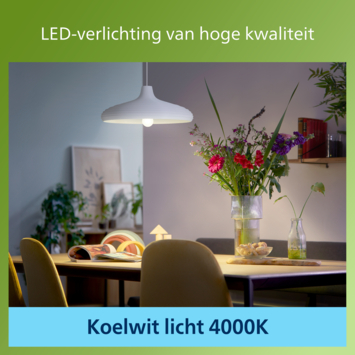 Philips greenlabel LED 75W E27 peer 4000K