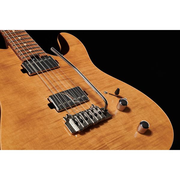 Harley Benton Fusion-T HH Roasted FNT