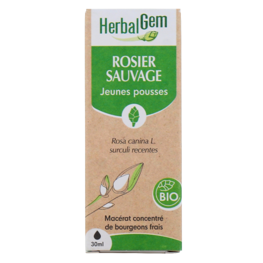 Herbalgem macérat rosier sauvage bio - Gemmothérapie