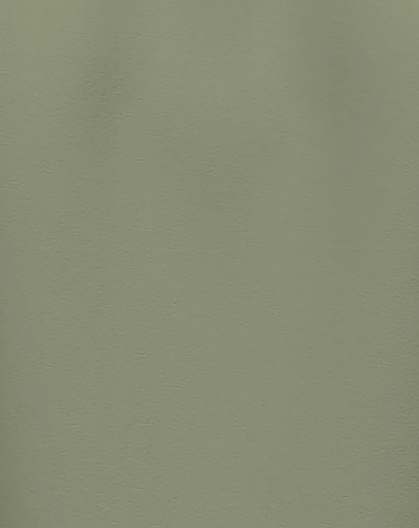 Langarmshirt NMMVUX BROOKLYN in oil green