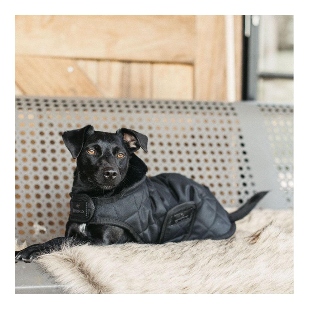 Kentucky ORIGINAL 160G - Couverture pour chien black/black