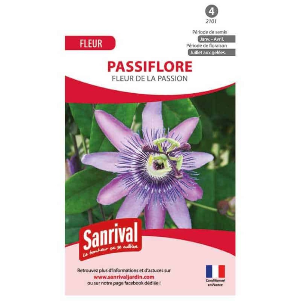 Graines fleur de la passion
