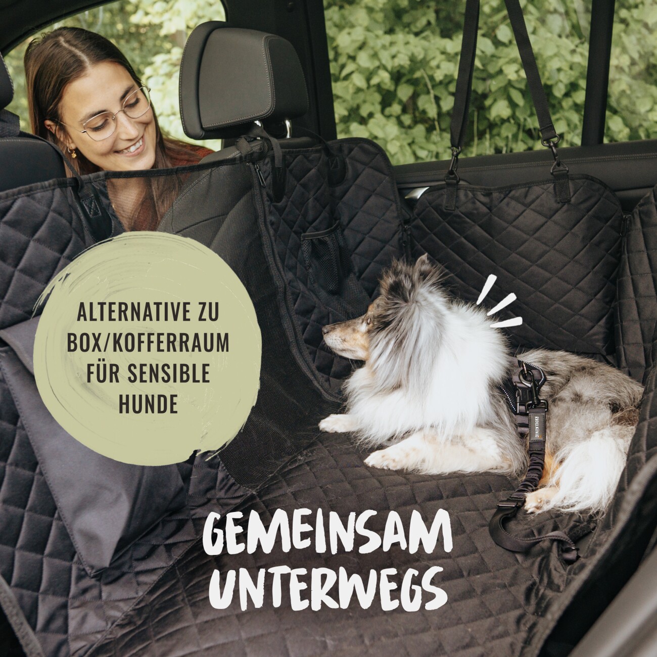 Rudelkönig Sicherheitsgurt - Hundegurt für sicheres Reisen