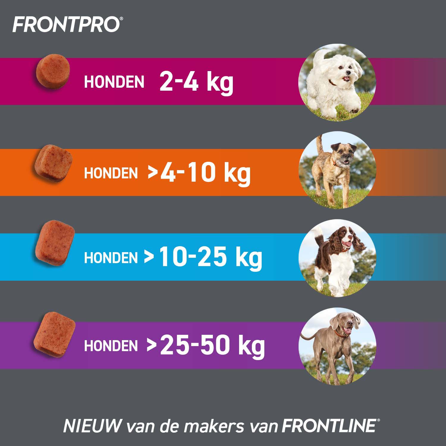 Frontpro Kauwtablet - Anti Vlooien en teken Hond - XL - 3 Stuks - XL