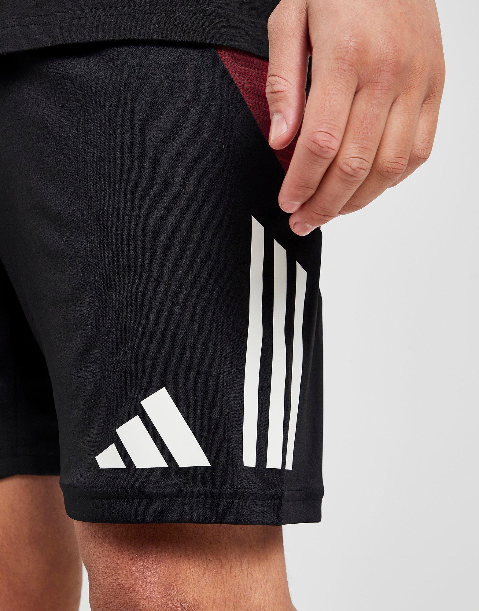 adidas Short d'Entraînement Manchester United FC Homme