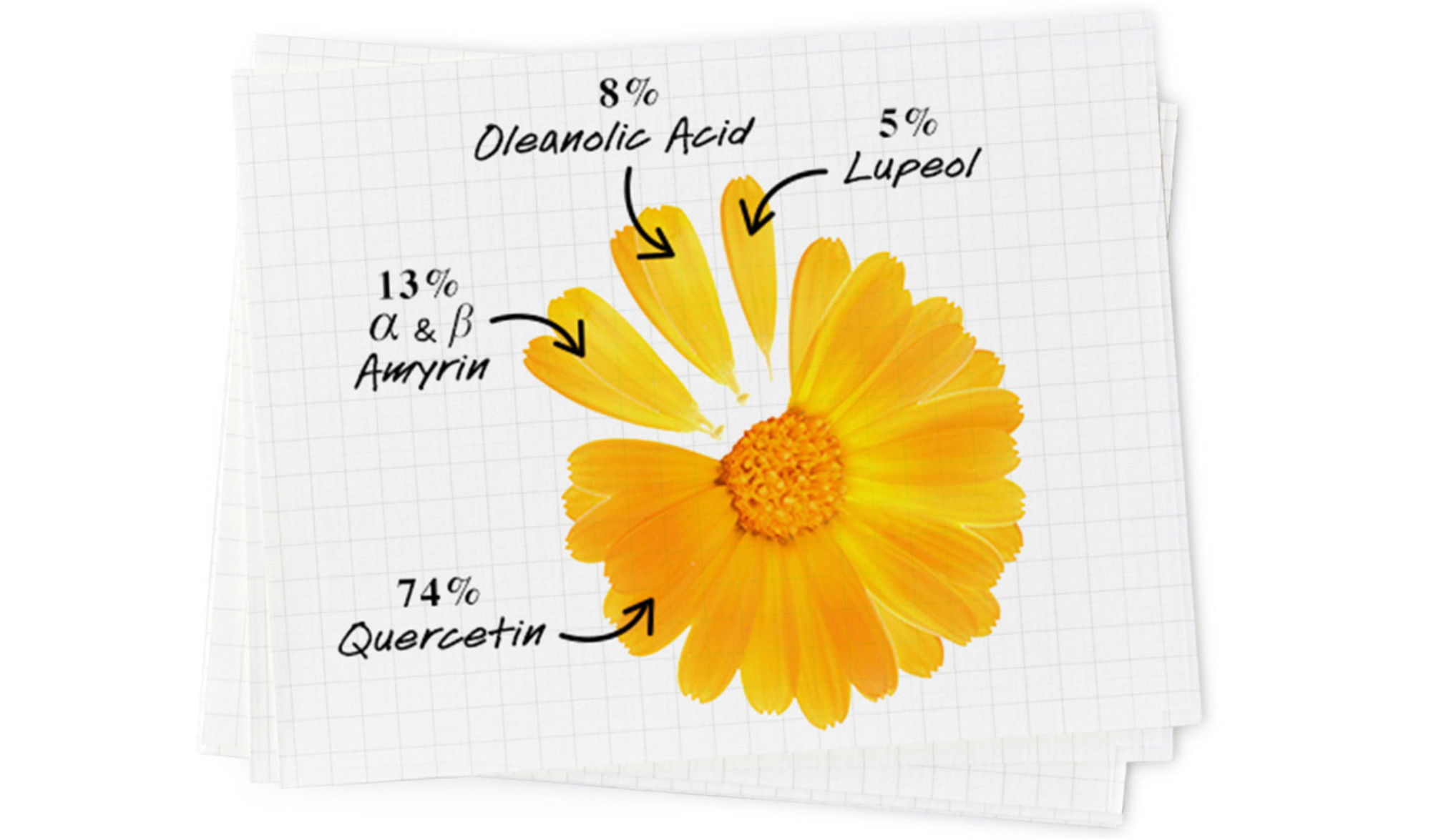 KIEHL'S Calendula Serum Infused Water Cream Glas 50 ml