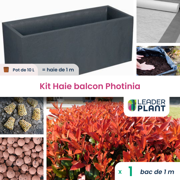 Kit brise-vue balcon photinia