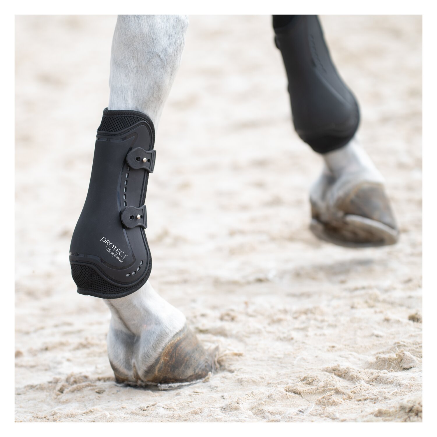 PROTECT by Horse-friends Gamaschen Valencia, für die Vorderbeine  - black