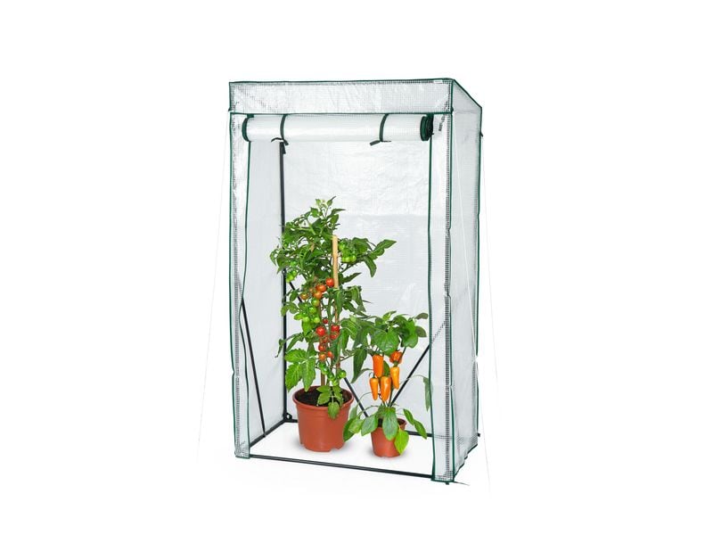Hoberg Gewächshaus 100 x 50 x 158/170 cm Tomatengewächshaus