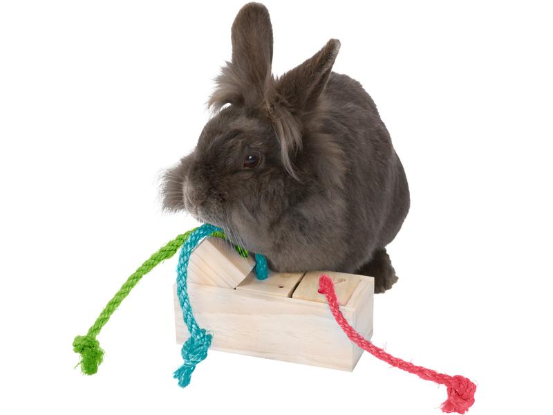 Trixie Spielzeug Snack Würfel, 15 x 5.5 x 6 cm Snackspielzeug für Vögel