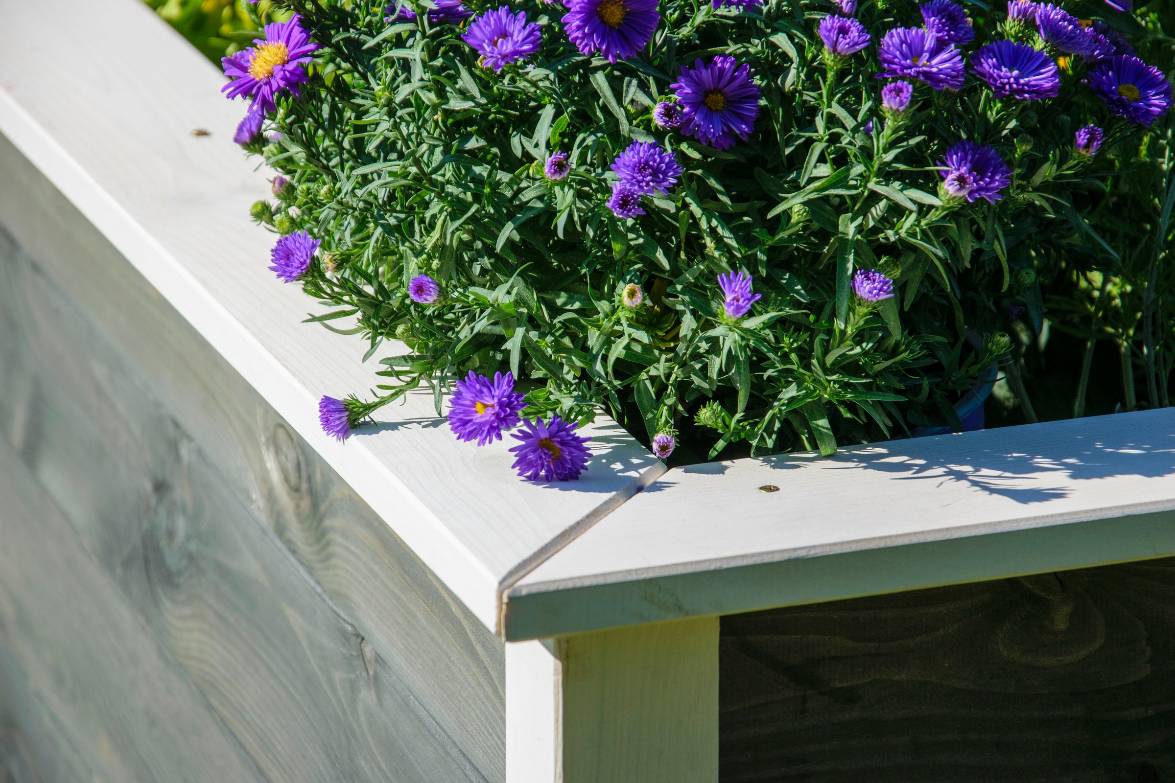 dobar Hochbeet »Two-Tone« Bausatz , aus FSC®-zertifiziertem Kiefernholz, wetterfest grau lasiert