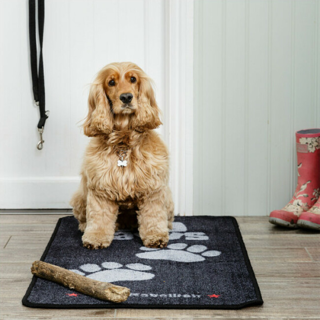 Tapis Stop Muddy Big Paws absorbant Pet Rebellion