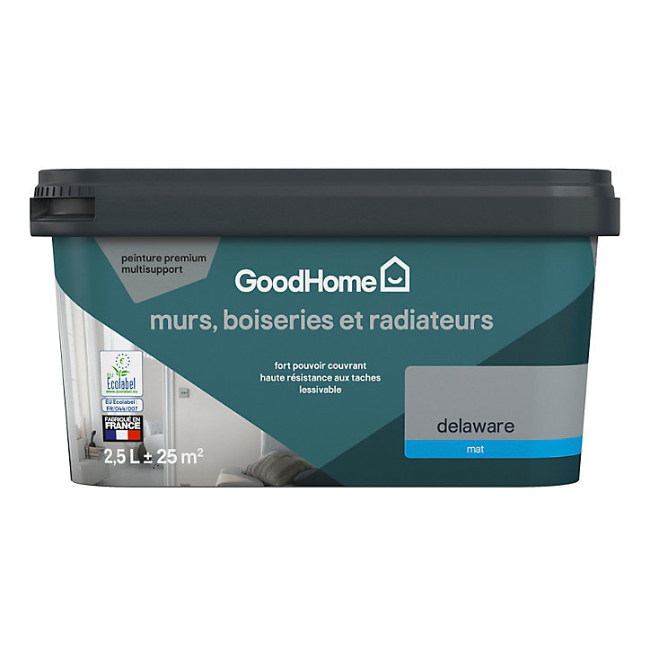 Peinture intérieure couleur murs, boiseries et radiateurs GoodHome mat delaware gris 2.5L