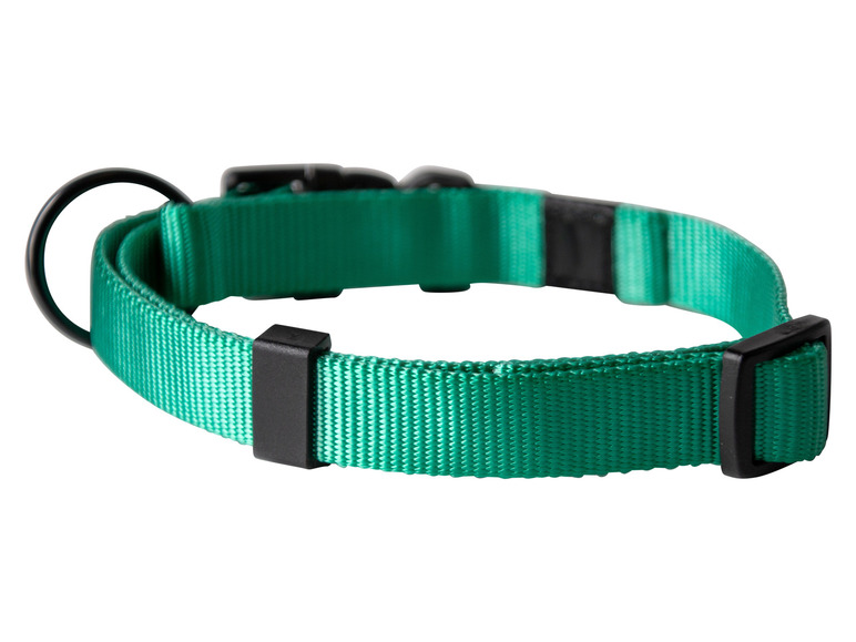 Halsband met lijn