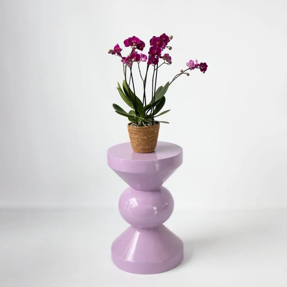 Vlinderorchidee - Phalaenopsis Multiflora met mand - Hoogte 35-45cm - ⌀12cm