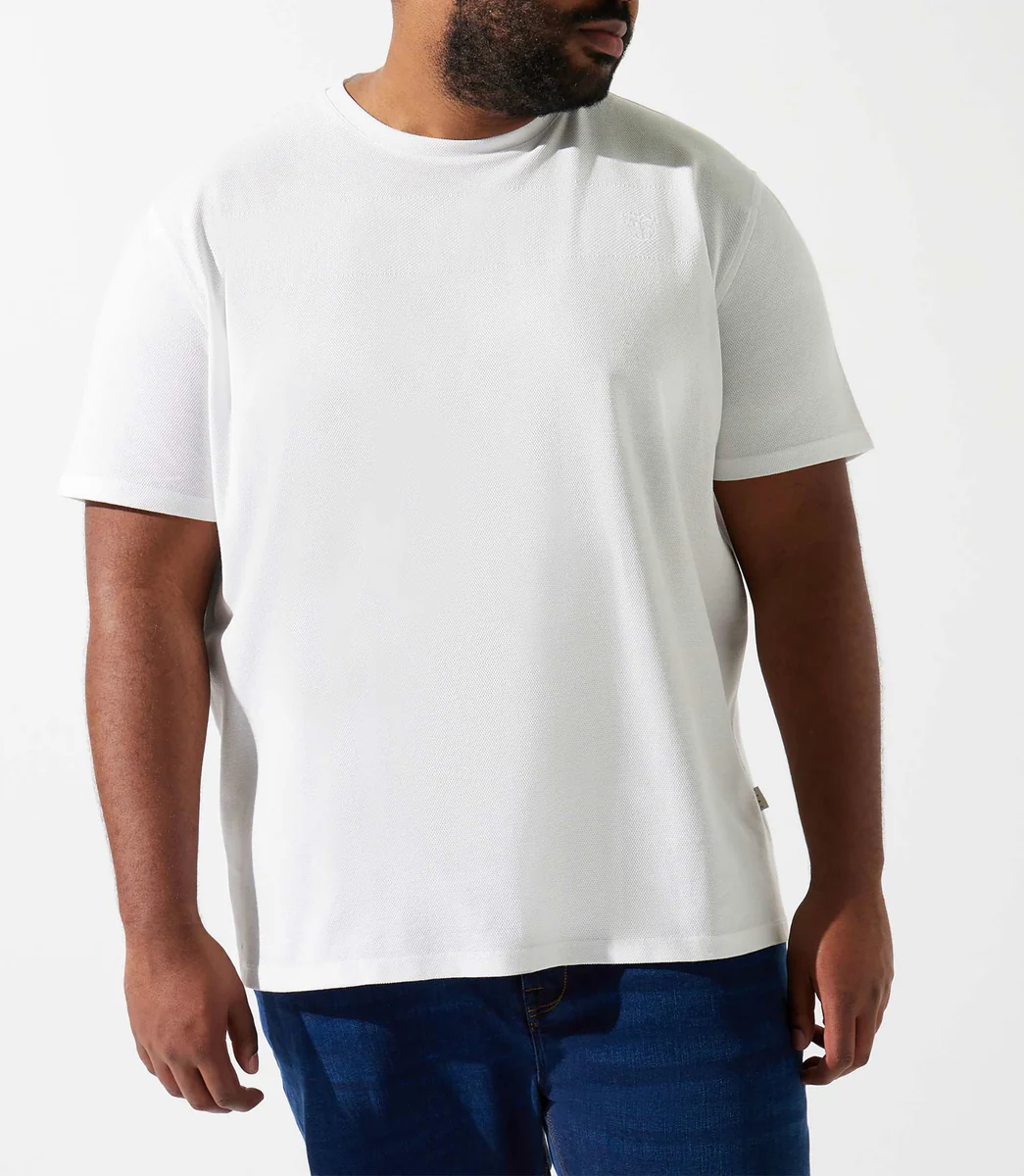 T-shirt uni avec logo brodé écru GIOVANYBT