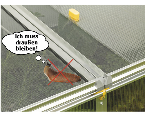 JUWEL Biostar Bio Protect 2000 kweekbak incl. ongediertebescherming 200 x 76,5 x 52/44 cm