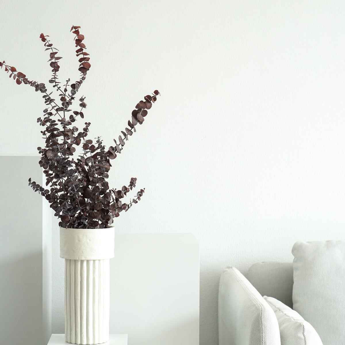 Eucalyptus Baby - 3-4 stengels