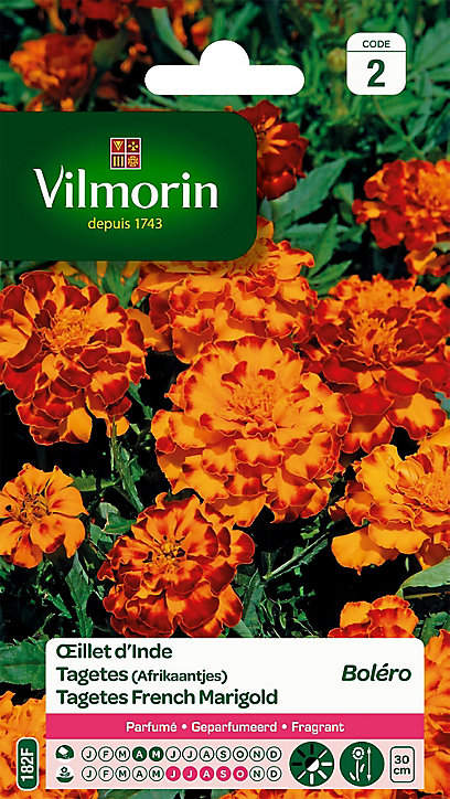 Graines d'Oeillet d'Inde Boléro Vilmorin