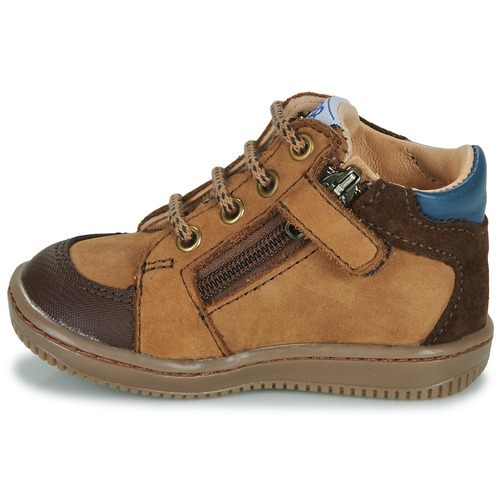 GBB - FALMARD FLEX - Marron